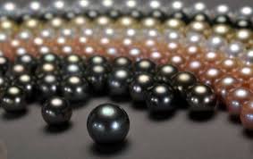 Taihu Lake Freshwater Pearls Taihu Lake Freshwater Pearls